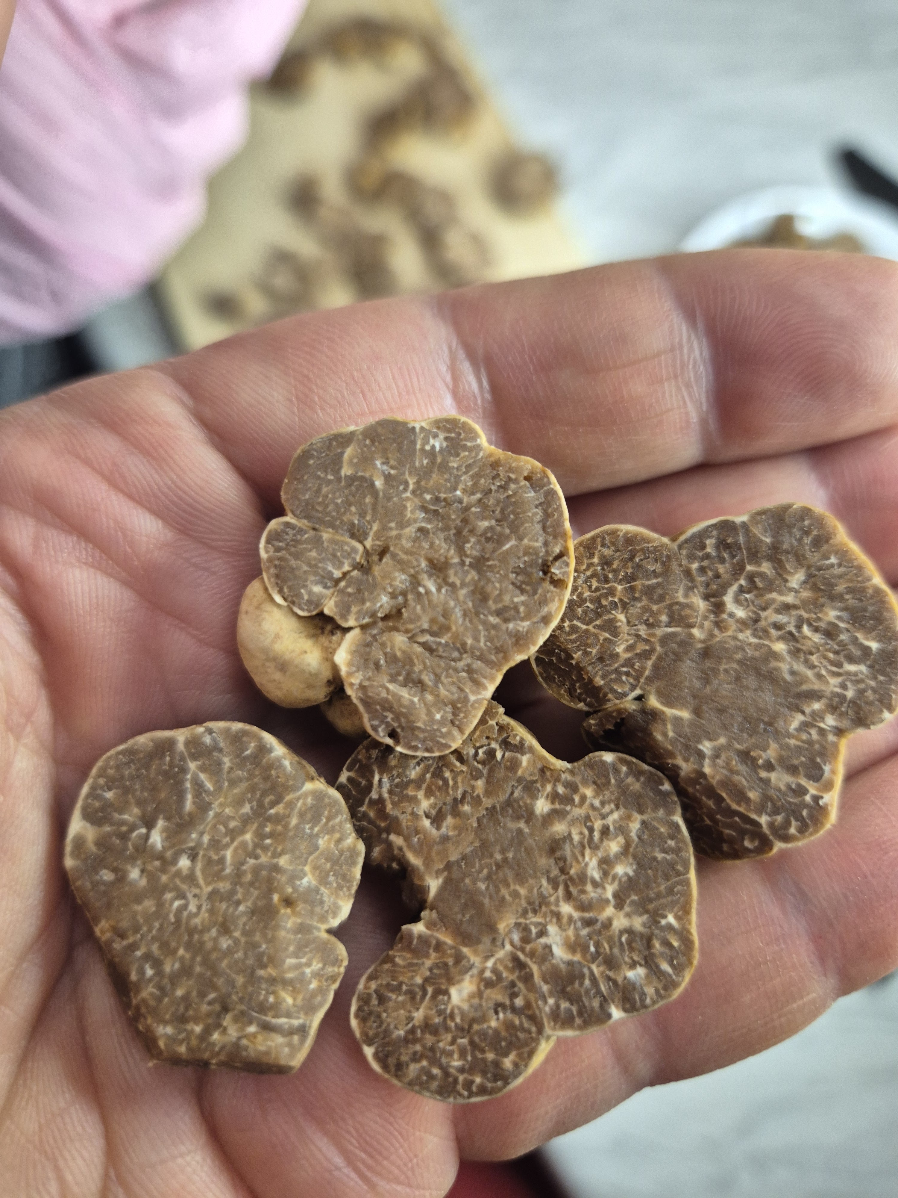 Tryffeleitä kädessä lähikuvassa